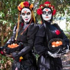El dia de la muerte El dia de la muerte