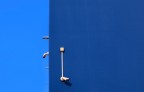 Blu Blu