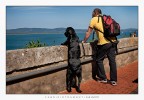 Lo vedi anche tu? Arf! Lo vedi anche tu? Arf!