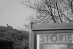 STORIE STORIE