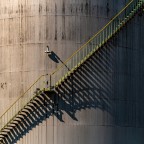 Silos Silos