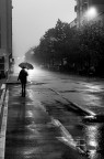 La pioggia La pioggia