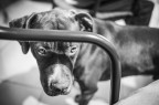 Zeus Zeus