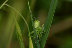Macro_Mag2026_B_4 Macro_Mag2026_B_4