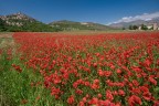 Capestrano_AQ_Mag2026_4 Capestrano_AQ_Mag2026_4