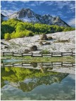 spolverata di neve sulla primavera alpina spolverata di neve sulla primavera alpina