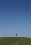 solito solitario solo