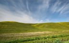 sweet hill