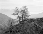 Intrepid 4x5 | Fomapan 100 @ 80 Intrepid 4x5 | Fomapan 100 @ 80