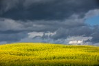 GIALLO&amp;BLU