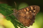 Macro_270626_2 Macro_270626_2