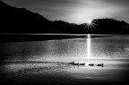 LC_507 LC_507