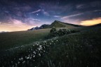 COWspiracy COWspiracy