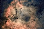 Nebulosa proboscide di elefante