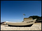 La barca va... La barca va...