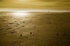 La solitudine d'oro La solitudine d'oro
