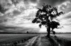 Temporale nella Baraggia Biellese Temporale nella Baraggia Biellese