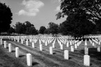 Cimitero nazionale di Arlington - Washington
Vi sono sepolti veterani di tutte le guerre statunitensi. Impressionante la spiananta di lapidi bianche

Suggerimenti e critiche sempre ben accetti