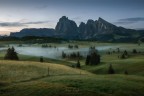 Alba