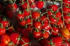 Al mercato di Cervia  (Ra)
