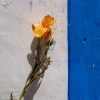 Obidos_2