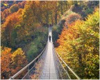sospensione nell'autunno