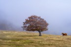 Uno scatto di sabato scorso ai prati di sar� , bellissimo posto che abbiamo visitato sia ad agosto spero di tornarci in inverno