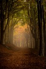 Autunno