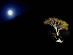 Preghiera alla luna Preghiera alla luna
