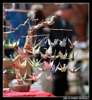 Origami Origami