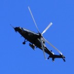 mangusta in volo sull'autodromo di imola mangusta in volo sull'autodromo di imola