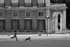 Bambina rincorre un cane Bambina rincorre un cane