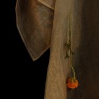 senzatitolo_1 senzatitolo_1