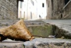 foglia foglia