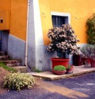 L'angolo fiorito L'angolo fiorito