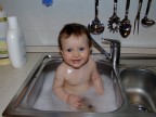 Quando il bagno è occupato Quando il bagno è occupato