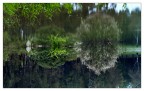 RIFLESSI #2 RIFLESSI #2