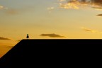 Ammirando il tramonto Ammirando il tramonto