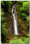 Mi sentivo come un fotoreporter di National Geographic ... nessuna persona nei paraggi  ... eravamo io e la natura solamente.... 
Non vi dico la scalata che mi sono dovuto fare prima di raggiungere la cascata ... cmq ne  valsa la pena ....
A Voi le critiche...

Aries