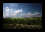 Atmosfere Atmosfere