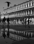 Piazza San Marco Piazza San Marco