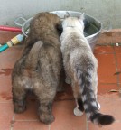 beviamo qualcosa insieme? beviamo qualcosa insieme?