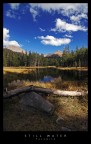 Still Water - Yosemite Still Water - Yosemite