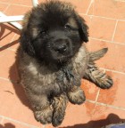 mi passi l'asciugamano? mi passi l'asciugamano?