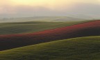 colline toscane