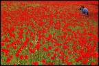 il paradiso dei fotografi il paradiso dei fotografi
