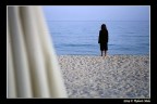 The end of the summer The end of the summer