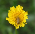 trasformazione trasformazione