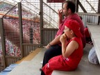 Allo stadio,in attesa del calcio d'inizio.