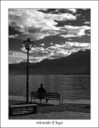 mirando il lago mirando il lago